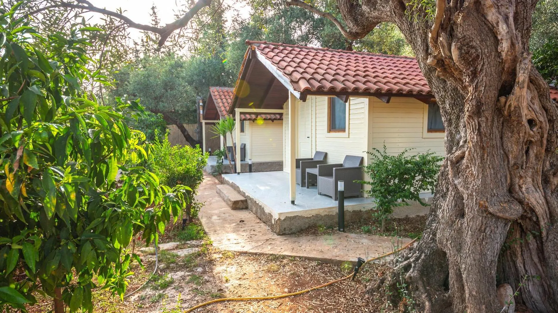 Lodges Shen Nikolla Dhermi