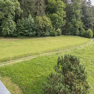https://ferienwohnung-brecherspitze.com-bavaria.com